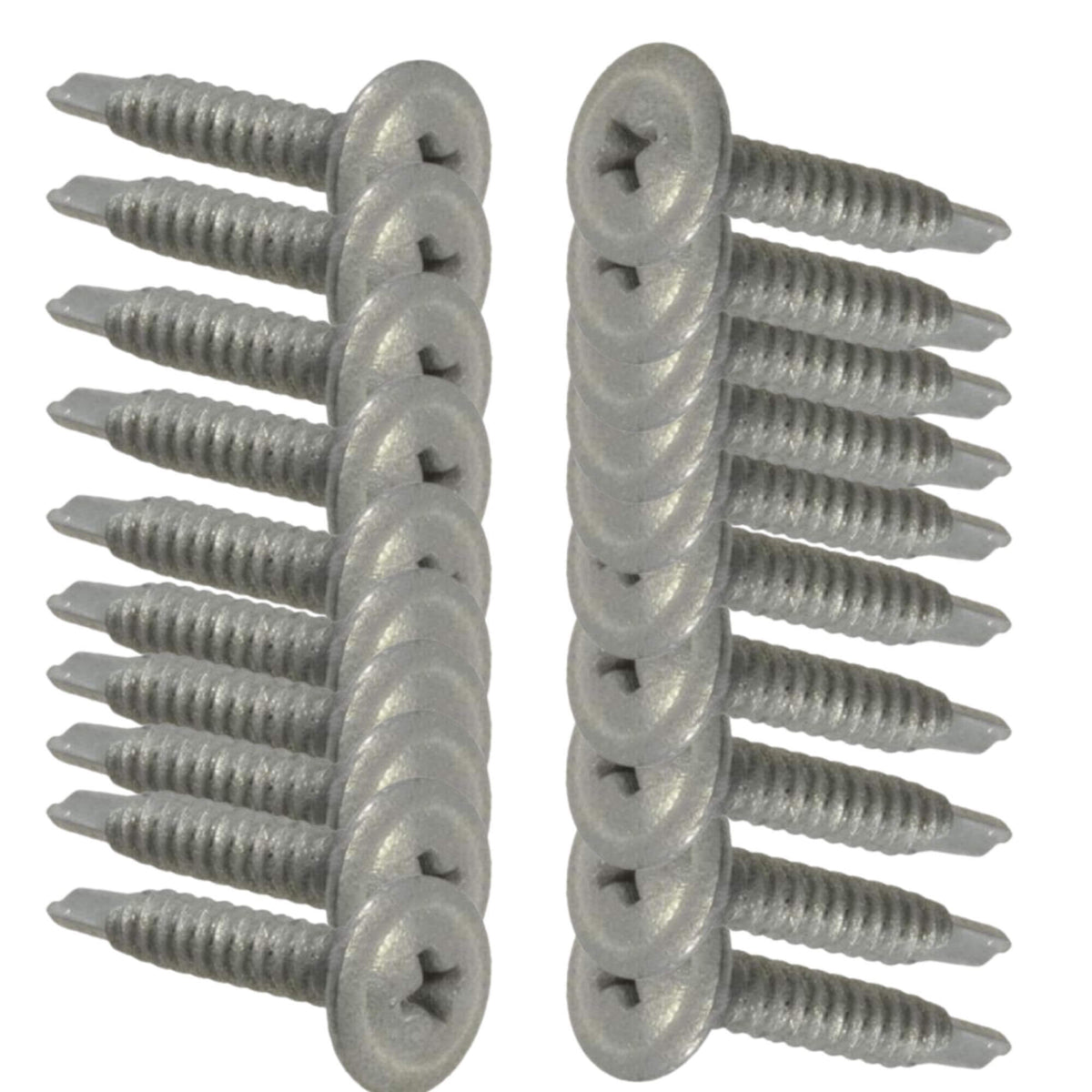 Cement Sheet & Blueboard Green Wall Screws 20pc - Designer Plants