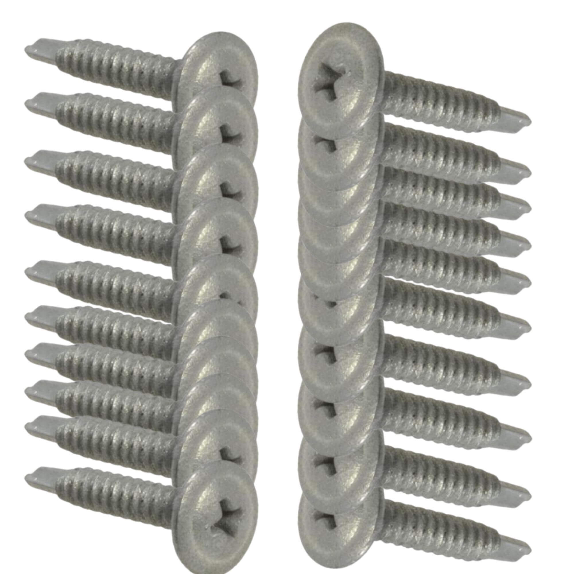 Cement Sheet & Blueboard Green Wall Screws 20pc - Designer Plants