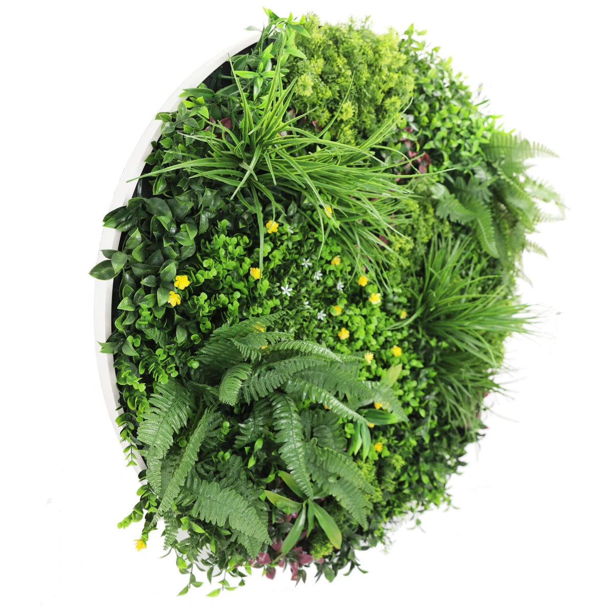 Slimline Artificial Green Wall Disc Art 100cm Country Fern UV Resistant (White) - Designer Plants