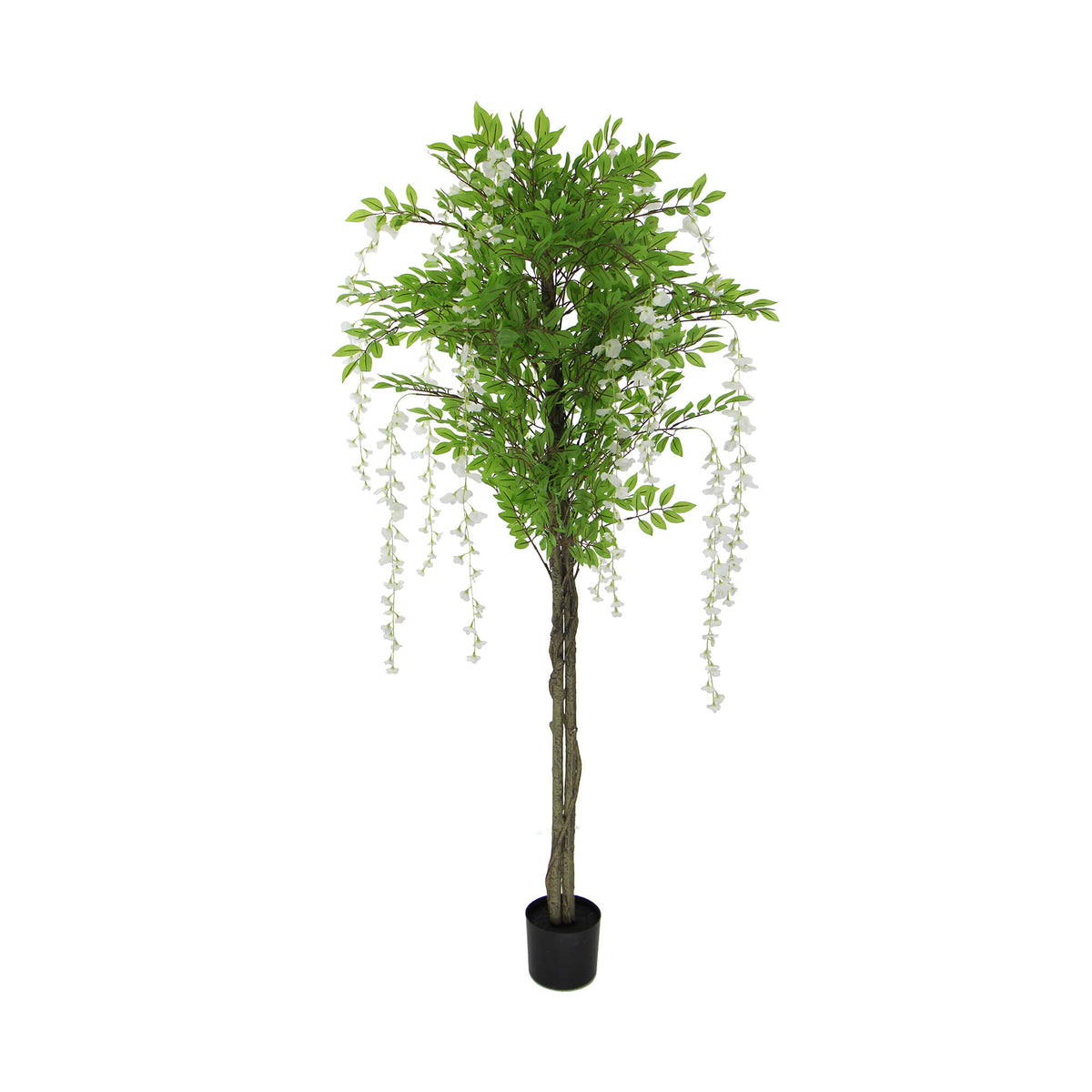 Flowering Artificial Wisteria with White Flowers 180cm - Designer Plants