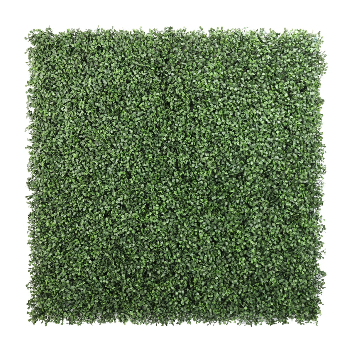 Boxwood Hedge Screen Green Wall Panel UV Resistant 100cm x 100cm - Designer Plants