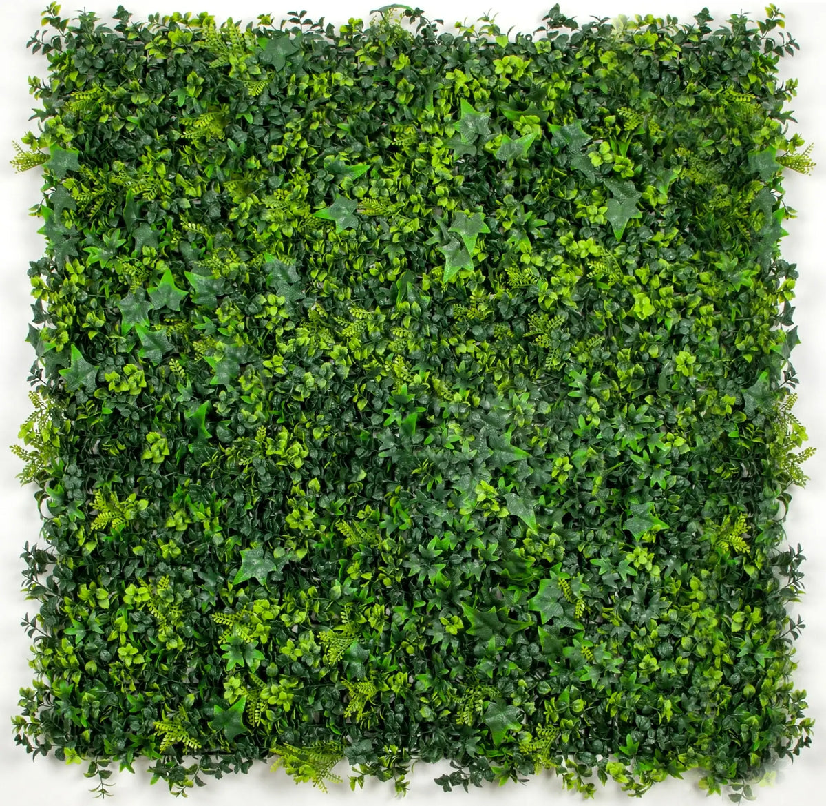 Luxury Spring Sensation Hedge Screen Green Wall Panel UV Resistant 100cm x 100cm - Designer Plants