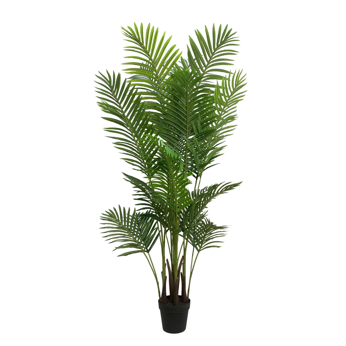 Premium Artificial Areca Palm Tree Real Touch 160cm - Designer Plants