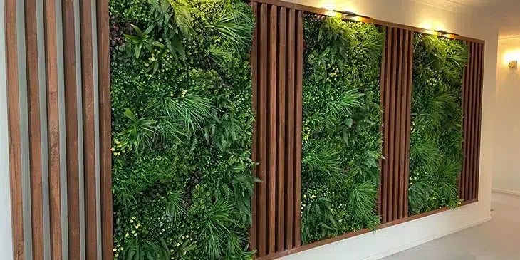 countryfern designer plants