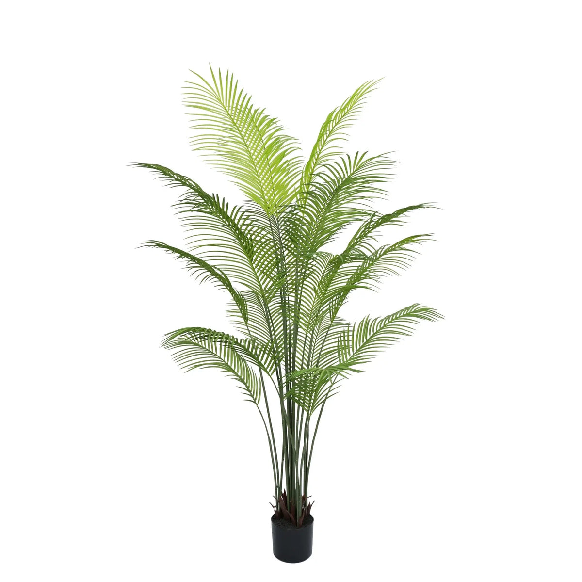 Premium Dense Artificial Palm Tree 180cm Areca Faux Tree (Knock Down) - Designer Plants