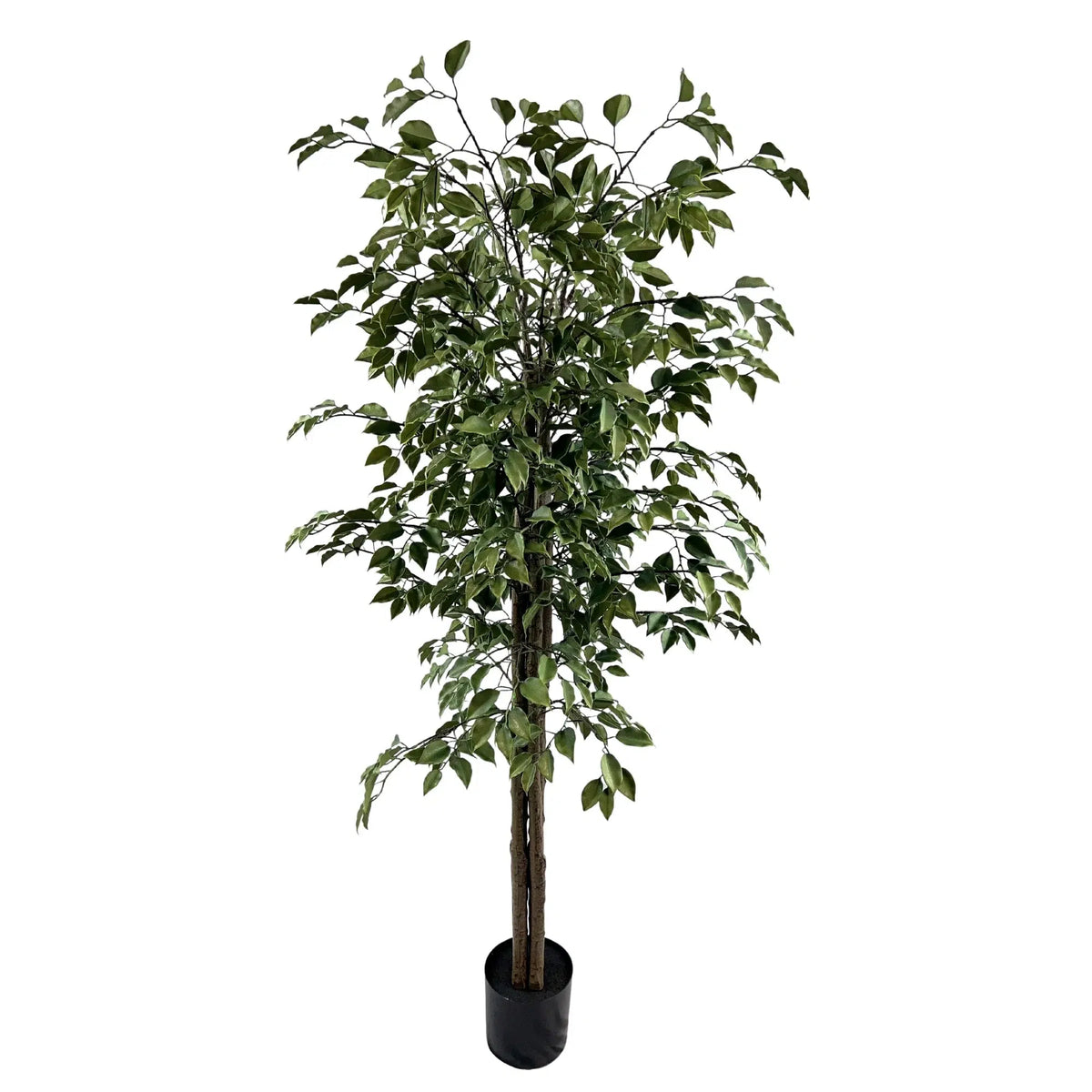 Very Beautiful Artificial Ficus Tree with UV Resistance 180cm - Designer Plants