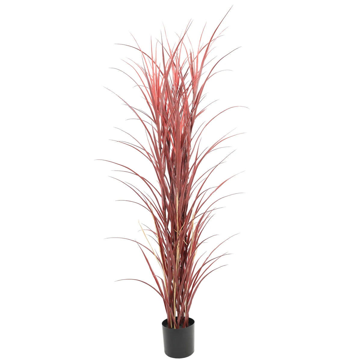 Premium Potted Burgundy Artificial Long Grass (Yucca Grass / Reed Grass) 180cm UV Resistant - Designer Plants