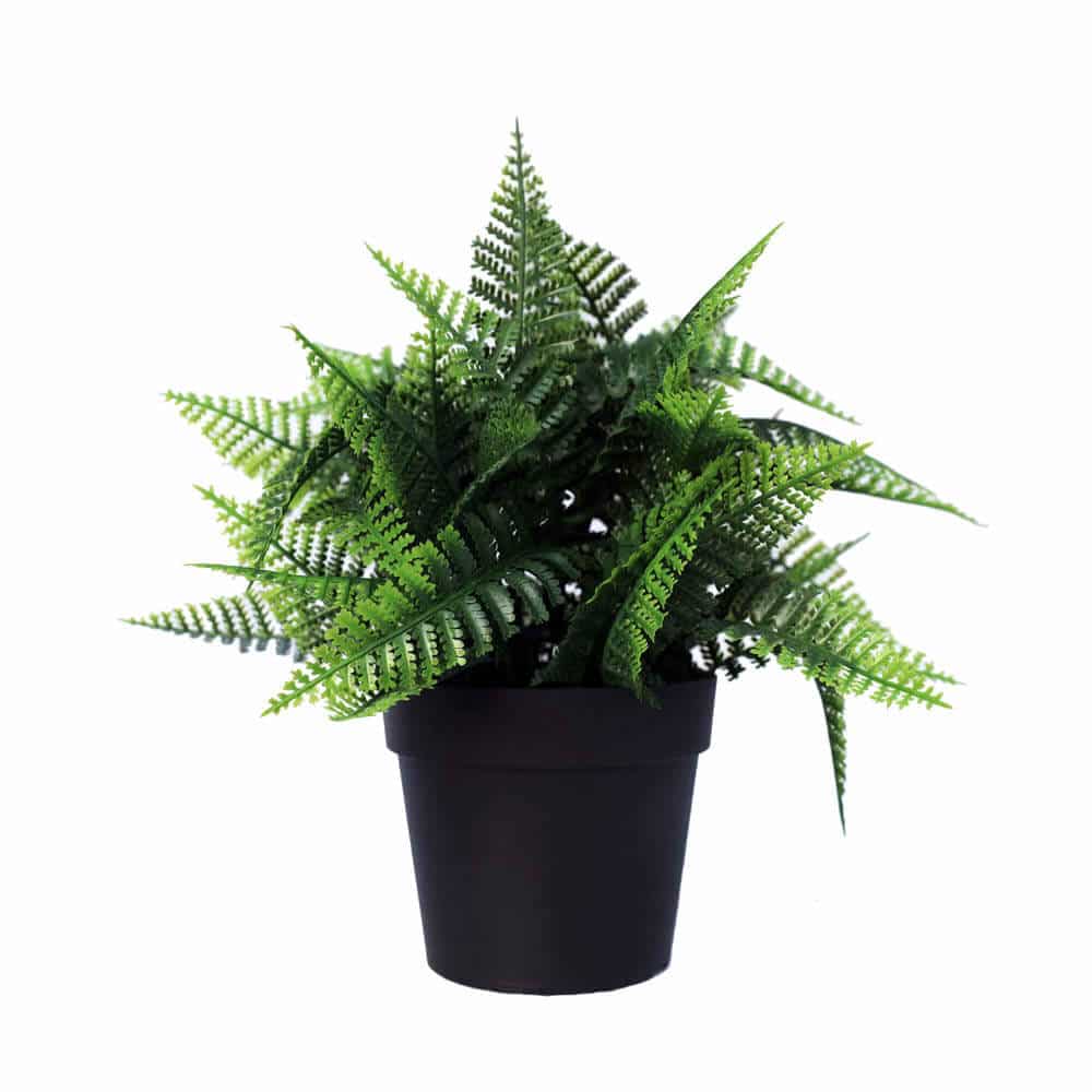 Small Potted Artificial Persa Boston Fern Plant UV Resistant 20cm - Designer Plants