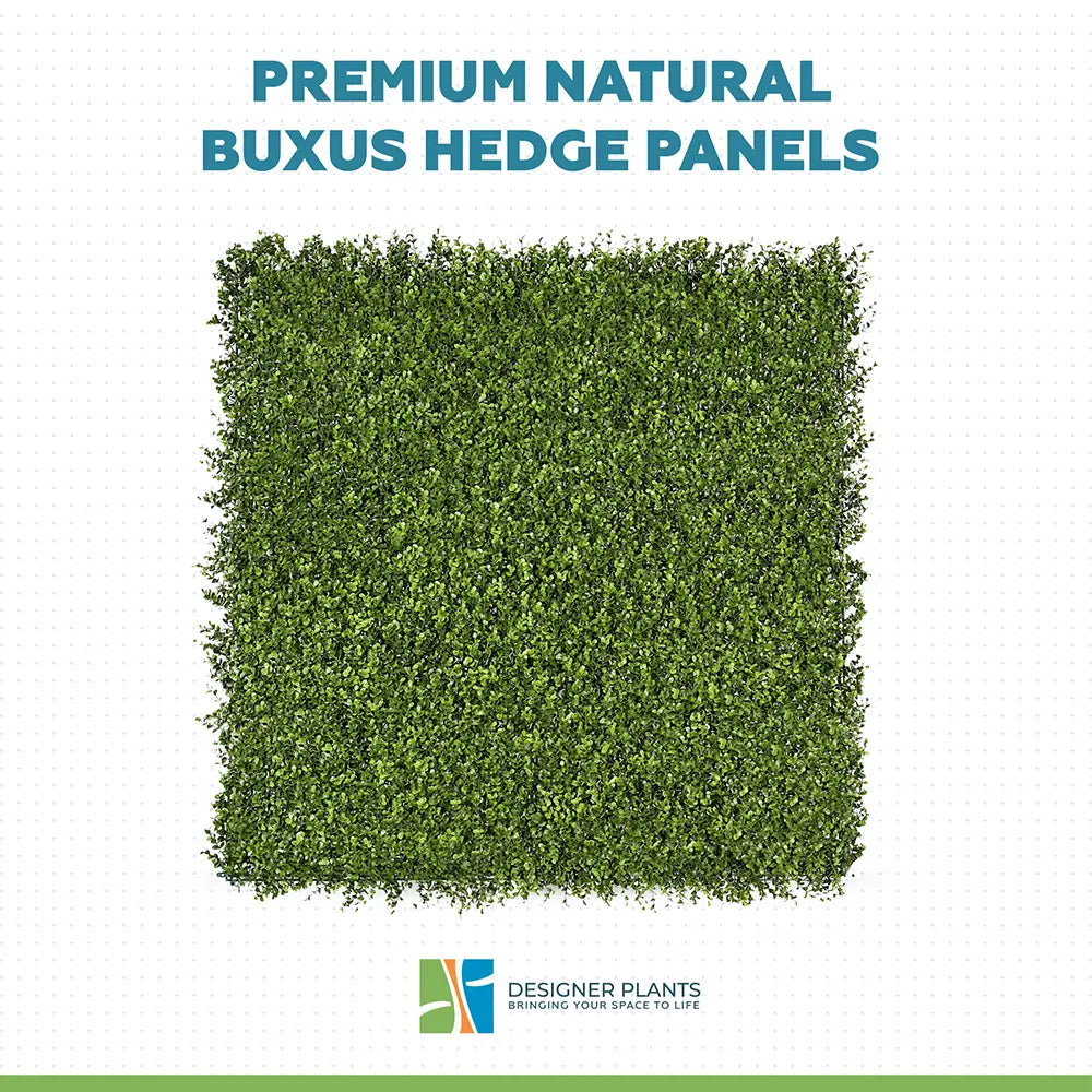 Premium Natural Buxus Hedge Panels UV Resistant 1m x 1m