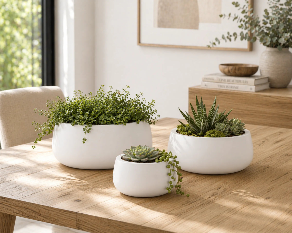 Luxury Soft Tapered Bowl Planter Set of 4 | Premium Pot Range | Matt White - Designer Plants