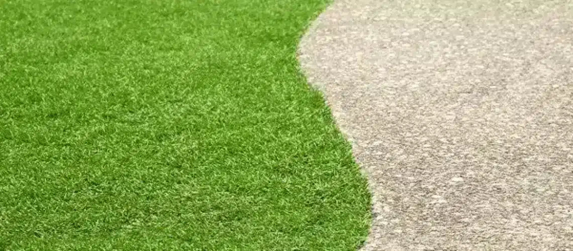 Which do you prefer: artificial grass or natural grass?