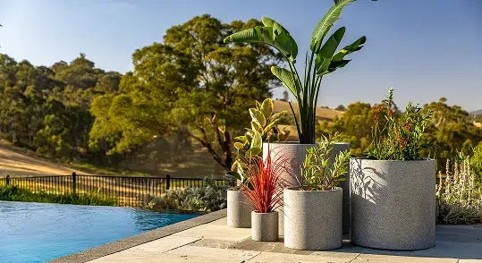 Small Spaces, Big Impact: Tiny Artificial Plants That Are Dominating Australian Apartments in 2025