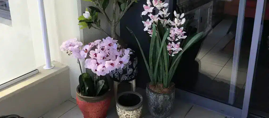 4 Reasons Artificial Orchids Are a Good Idea