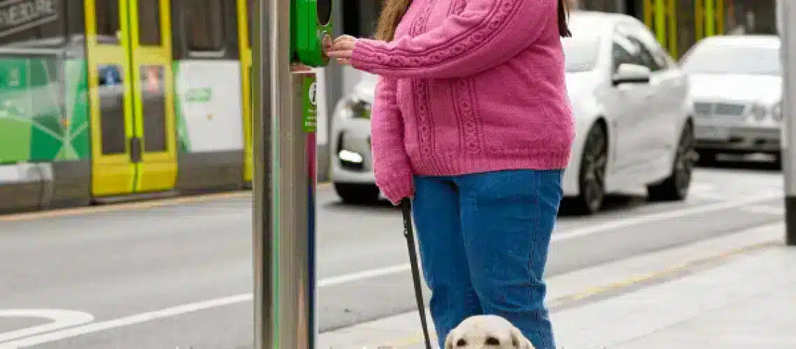 Supporting freedom and independence - Guide Dogs Victoria partnership