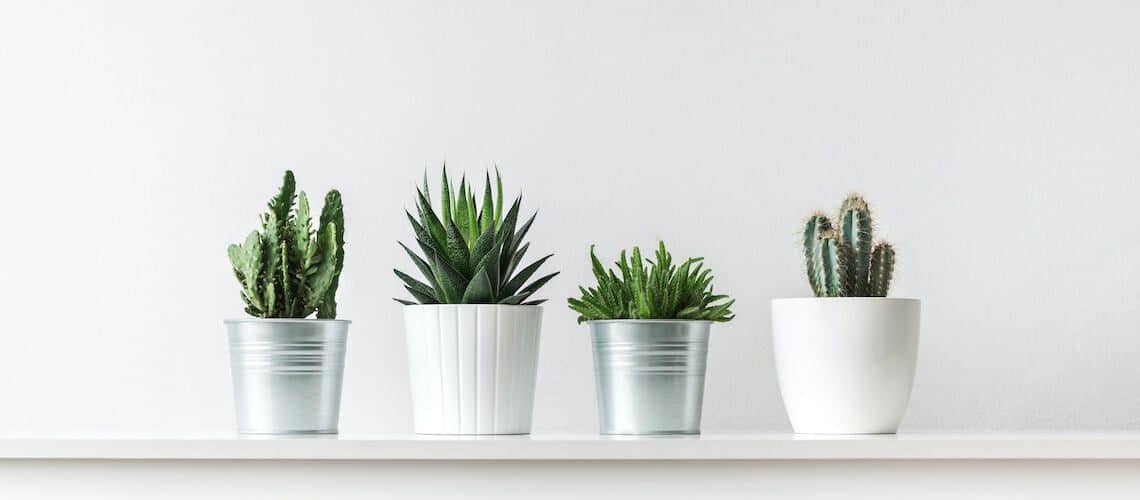 Are plastic plant pots recyclable?