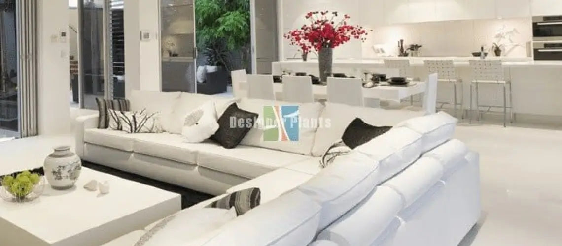 How to style your home with a low budget