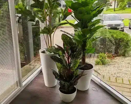 How To Pot Artificial Plants To Make Them More Realistic
