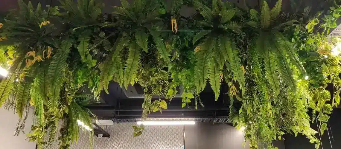 Why We Love Artificial Hanging Plants