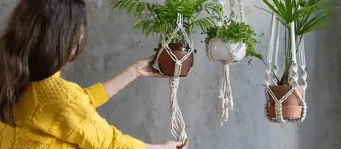 How to Hang Artificial Plants From the Ceiling