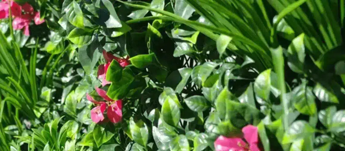 Myth: Artificial Plants Are Made From Cheap Material