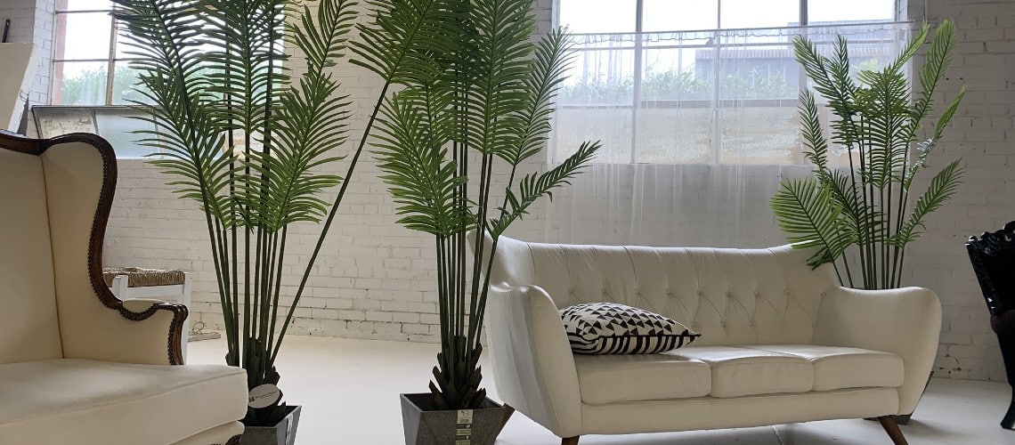 What Are the Best Artificial Indoor Palms?