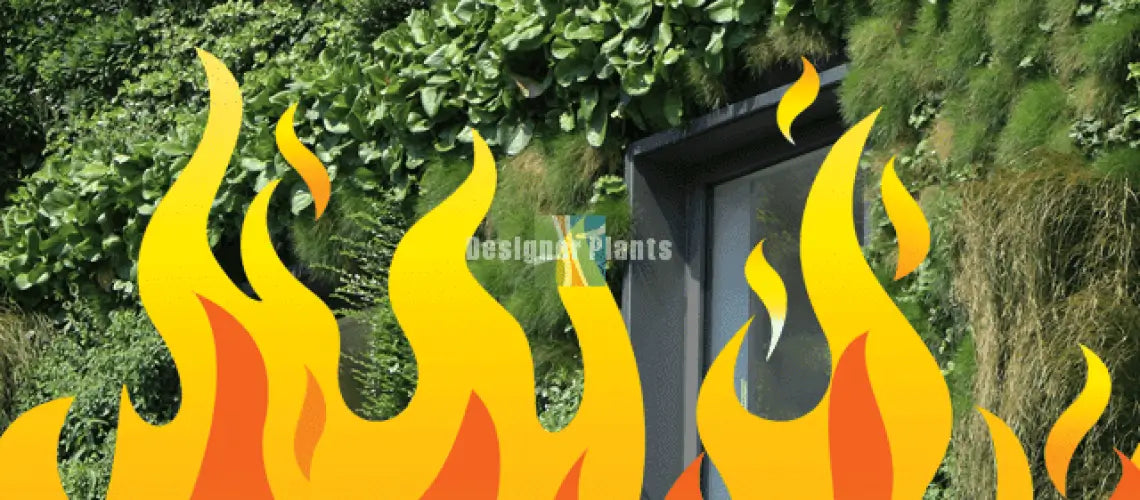 How fire safe are green walls?