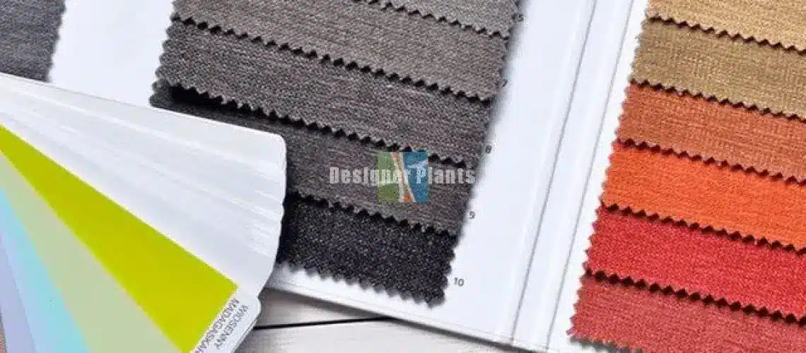 Interior house colour tips