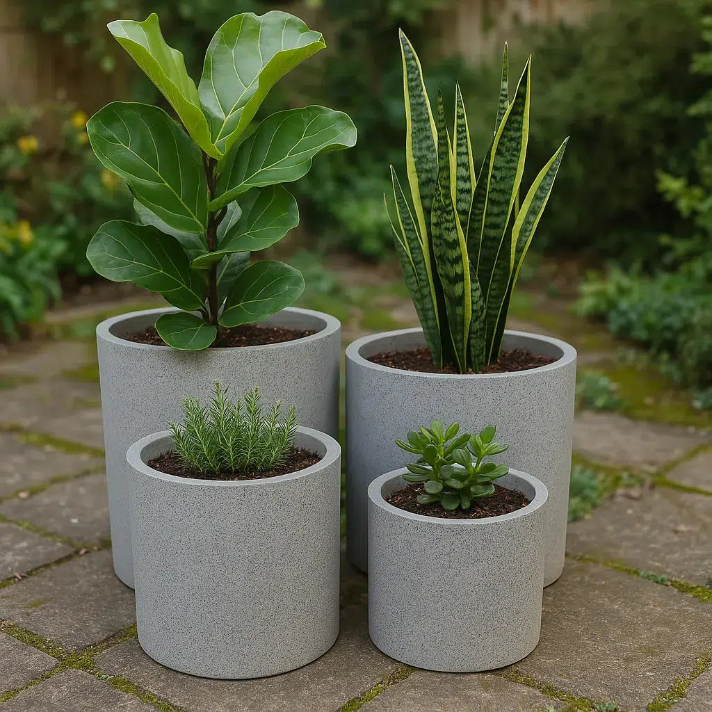 How a Fitness Studio Used Soft Greenery to Create a Calming, Stylish Space