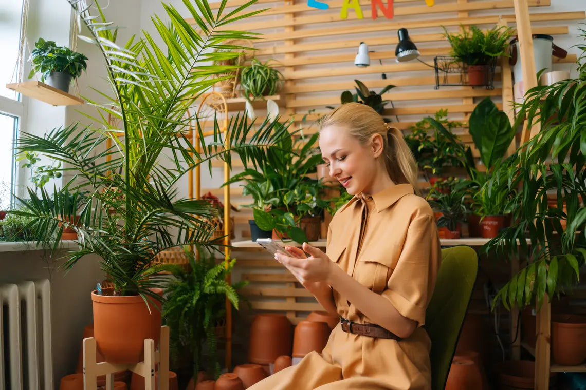 6 Things to Look For When Buying Artificial Yucca Online