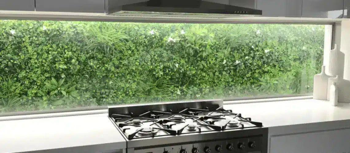 13 questions you asked about artificial vertical gardens