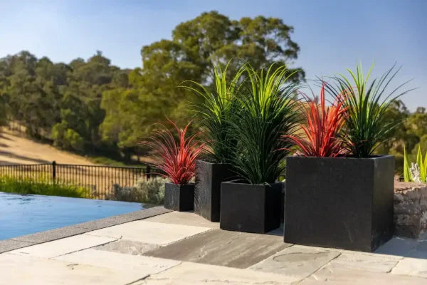 Artificial vs Real Plants for Natural Light-Deprived Homes