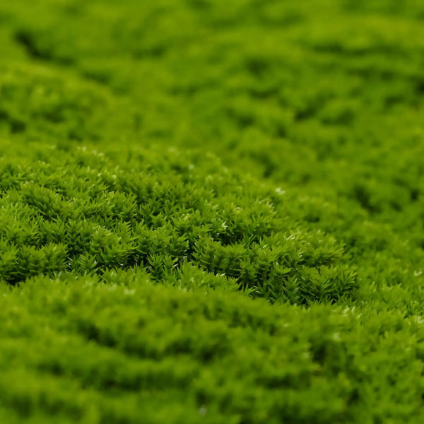 Artificial Moss