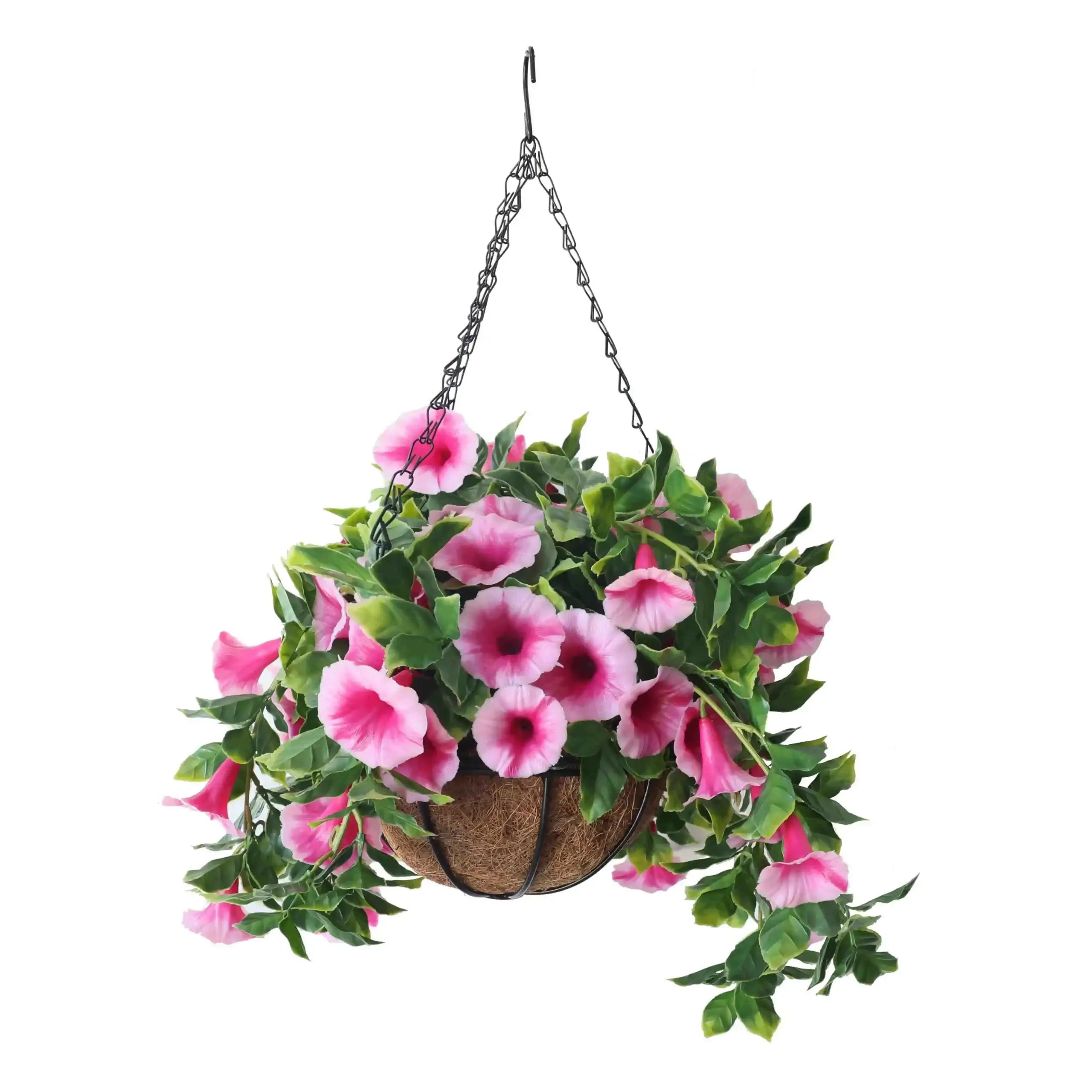 Hanging Basket