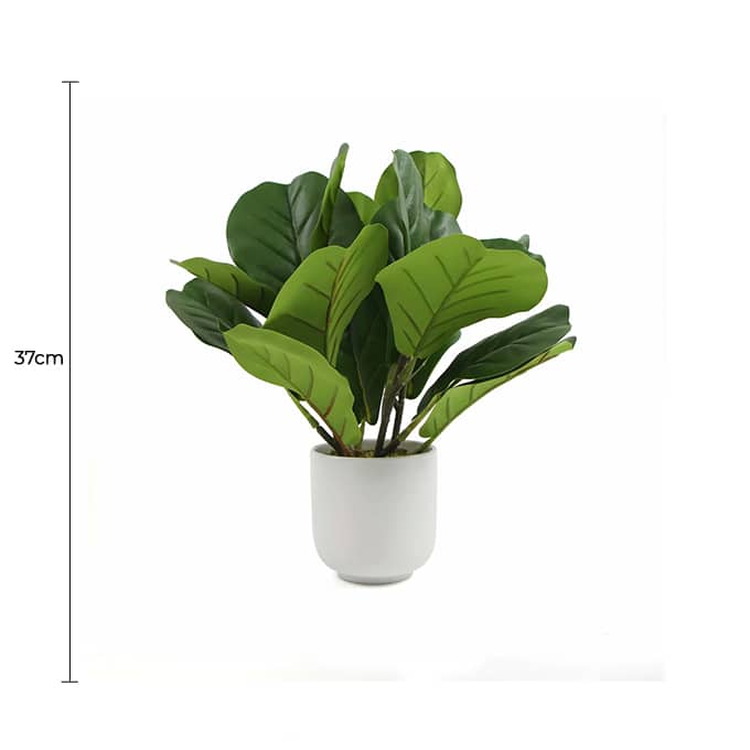 Fake Fiddle Leaf Fig Trees