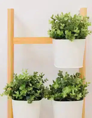 Indoor Plant Pots