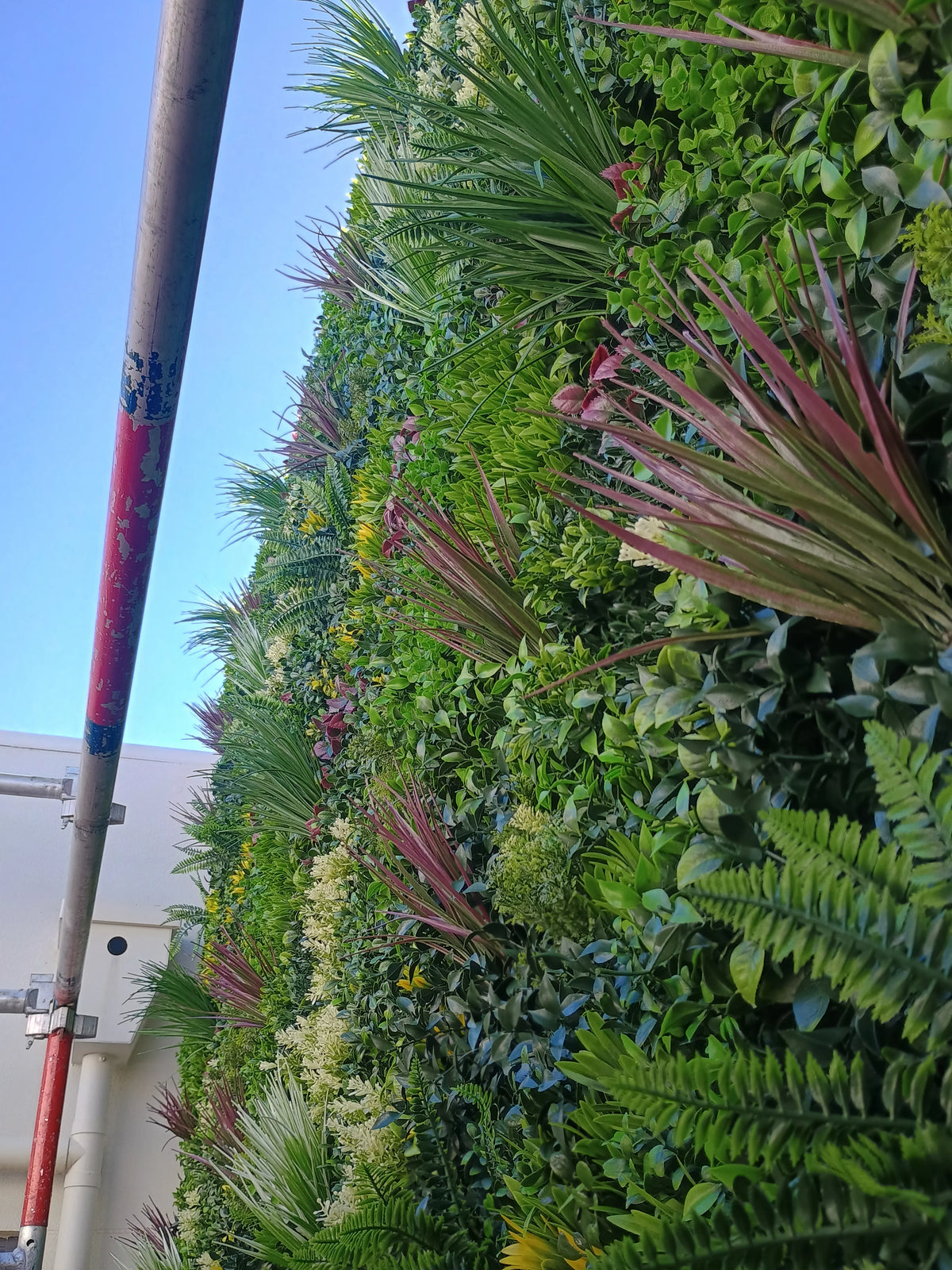 Artificial Ferns