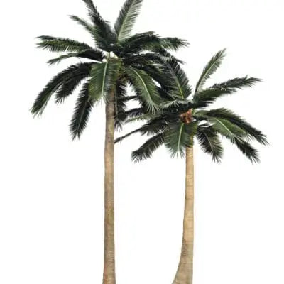 Custom Tall Trees