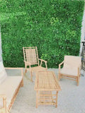 Green Walls / Vertical Gardens
