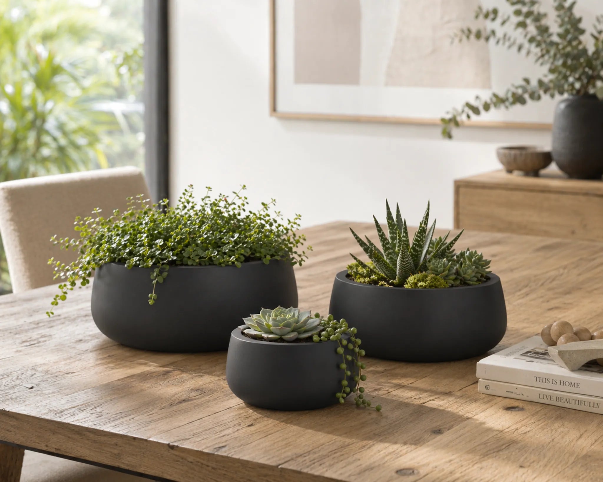 Luxury Pots and Planters