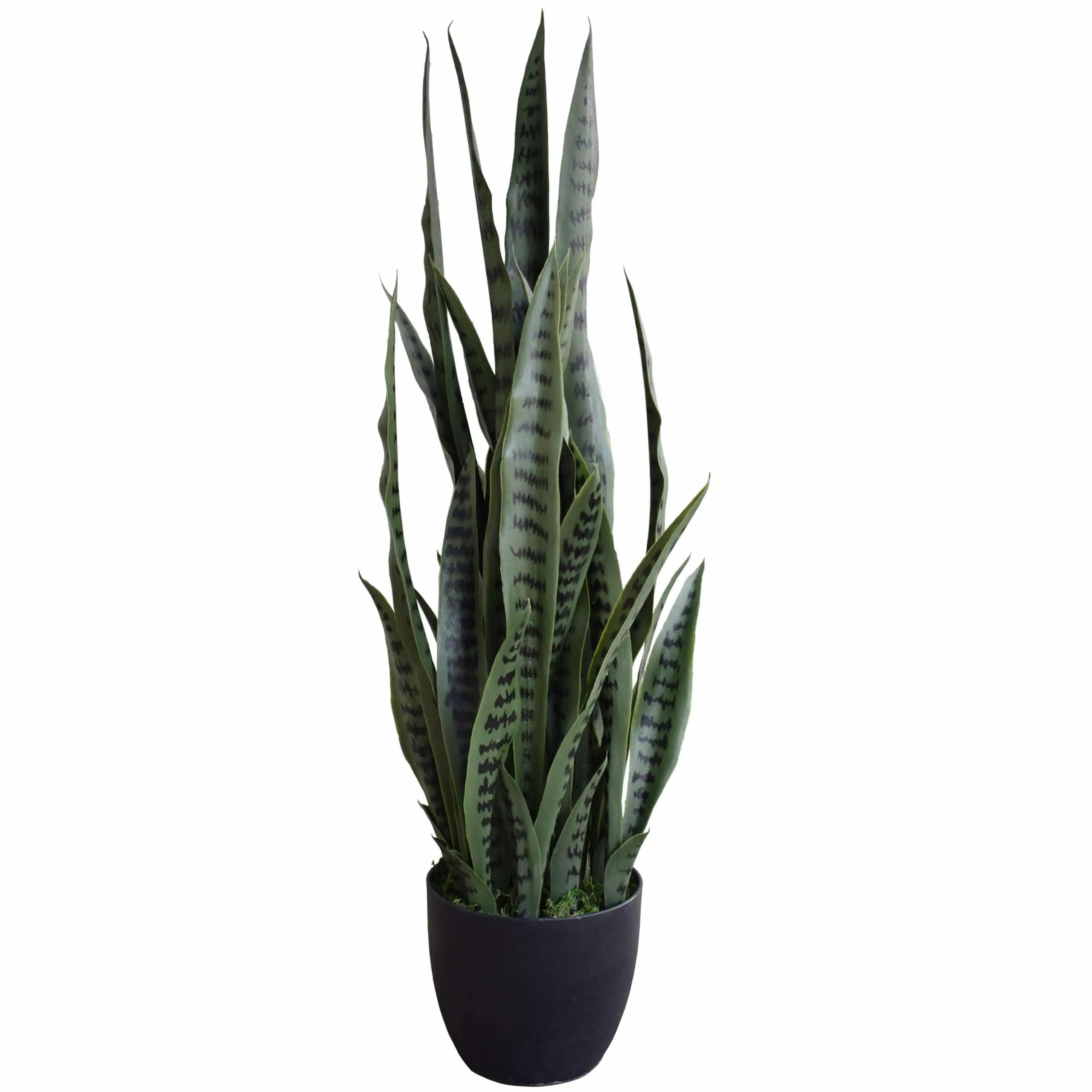 Artificial Snake Plant - Sansevieria