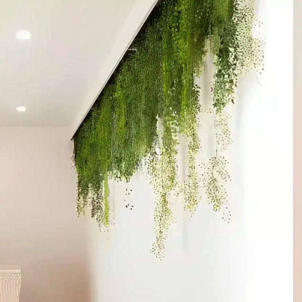Hanging Plants