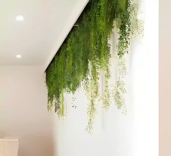 Hanging Plants and Vines