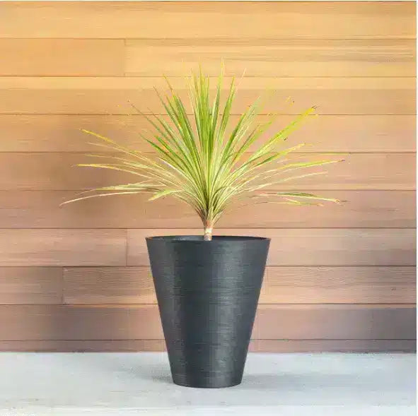Fake Plants