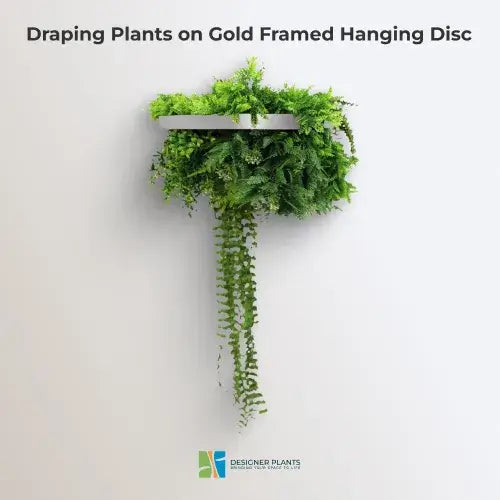 Silver Artificial Hanging Plant Disc Chandelier with Life-Like Trailing Foliage & Draping Greenery — 40cm UV Resistant