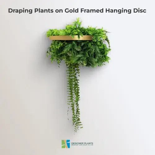 Gold Artificial Hanging Plant Disc Chandelier with Life-Like Trailing Foliage & Draping Greenery — 40cm UV Resistant