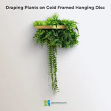 Gold Artificial Hanging Plant Disc Chandelier with Life-Like Trailing Foliage & Draping Greenery — 40cm UV Resistant
