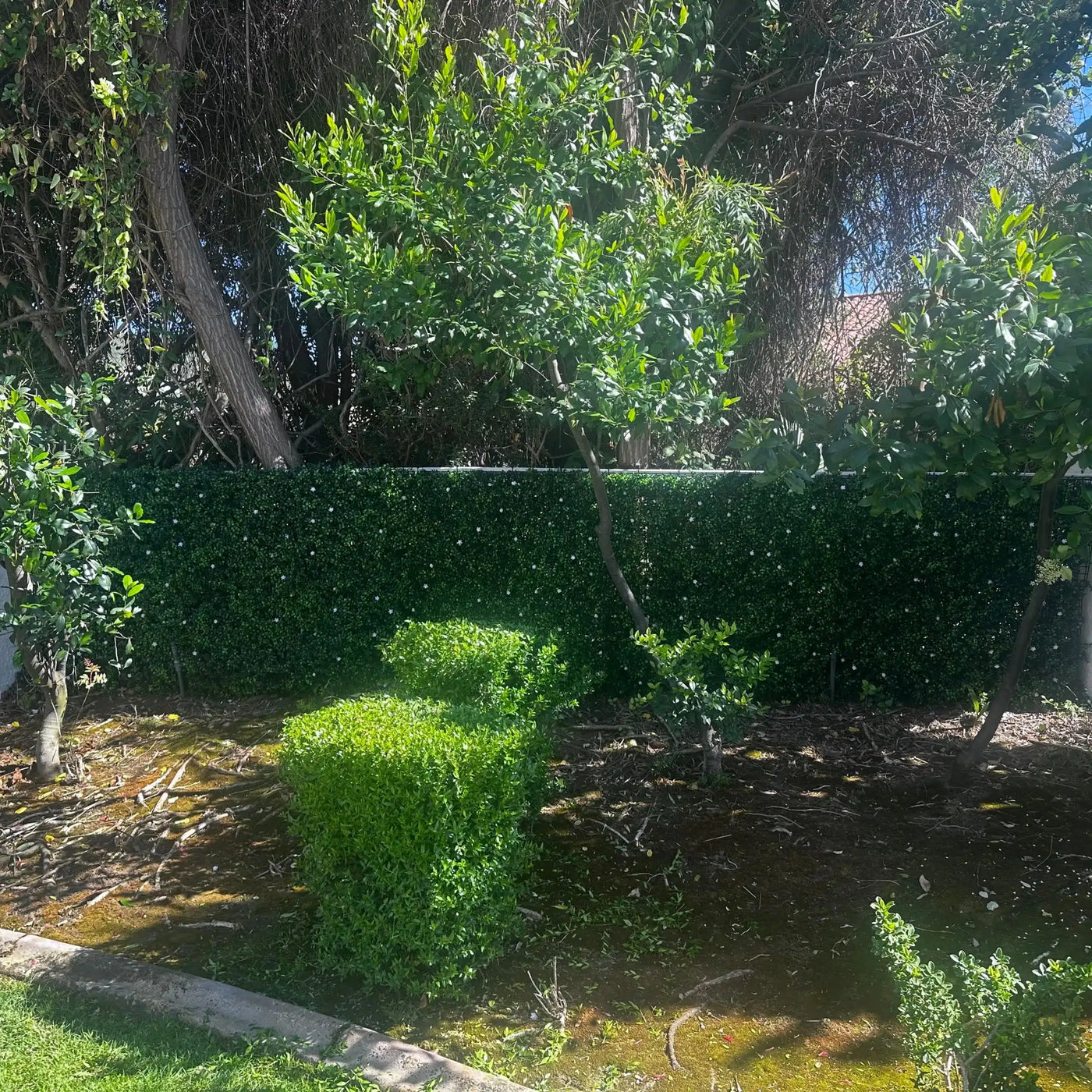 Luxury Flowering Artificial Buxus Hedge Panel UV Resistant 1m x 1m
