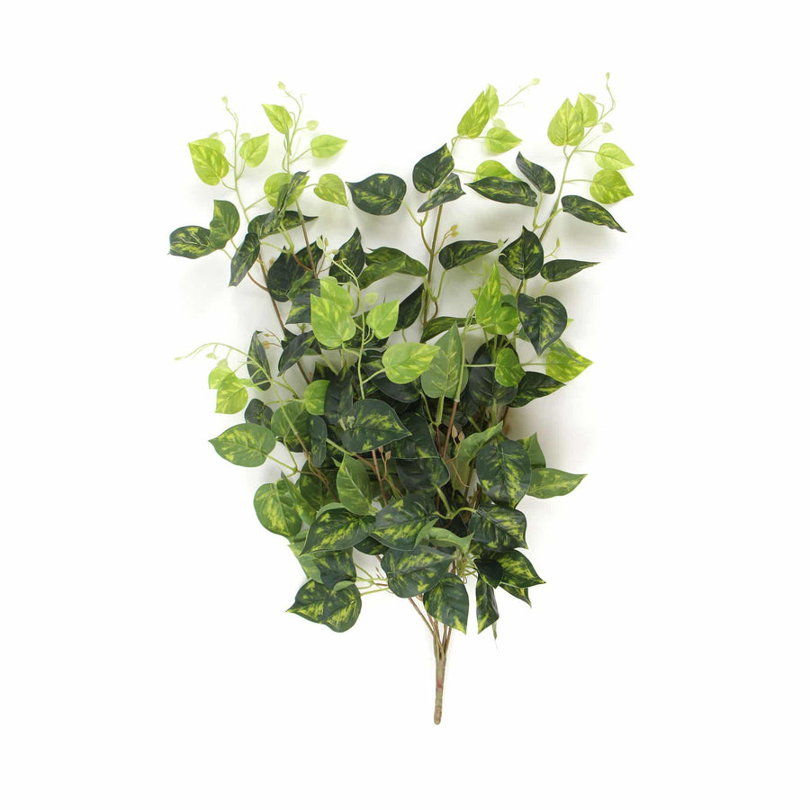 Heart Leaf Philodendron Hanging Creeper Bush (Devils Ivy) 78cm - Designer Plants