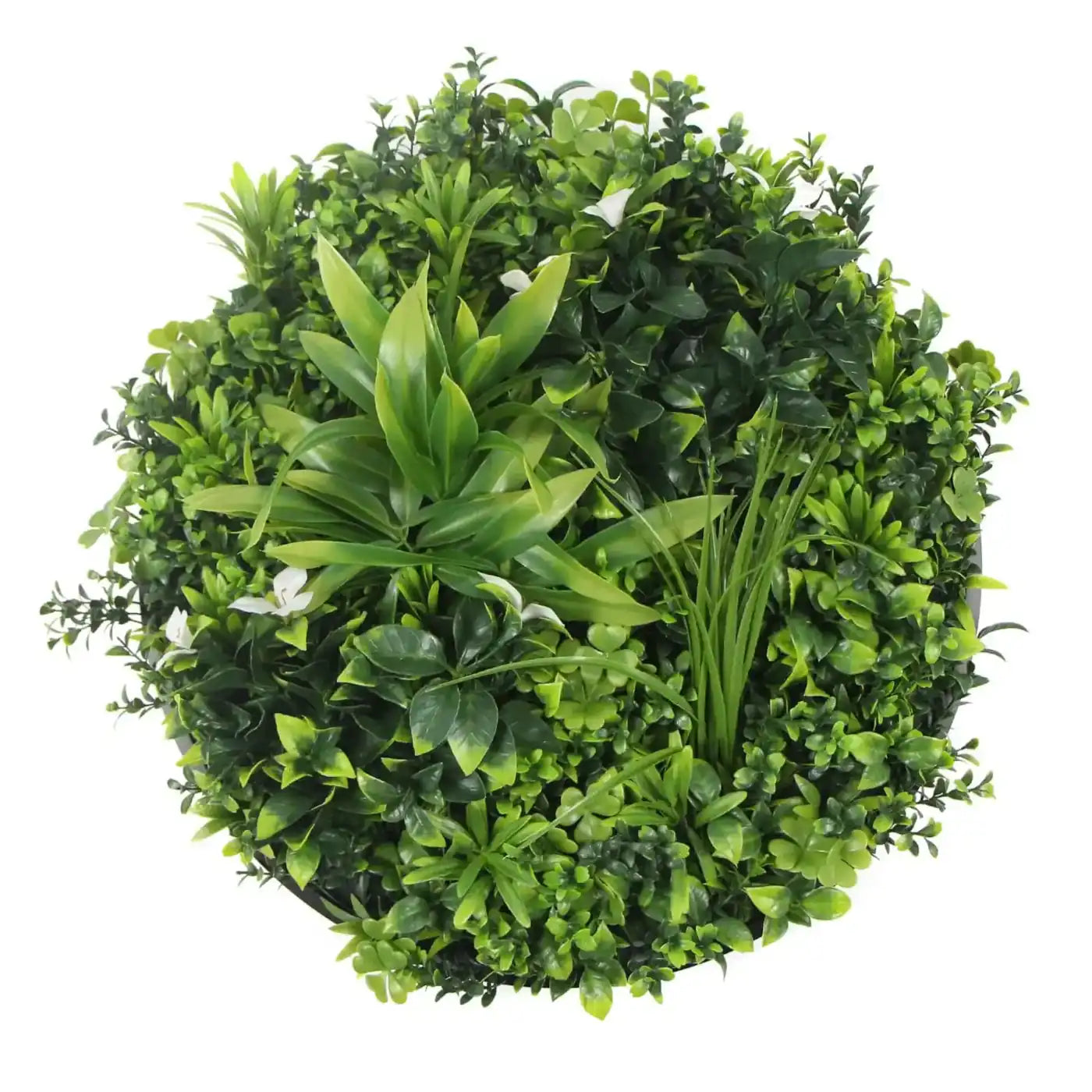 Slimline Flowering White Artificial Green Wall Disc UV Resistant 75cm (Black Frame)
