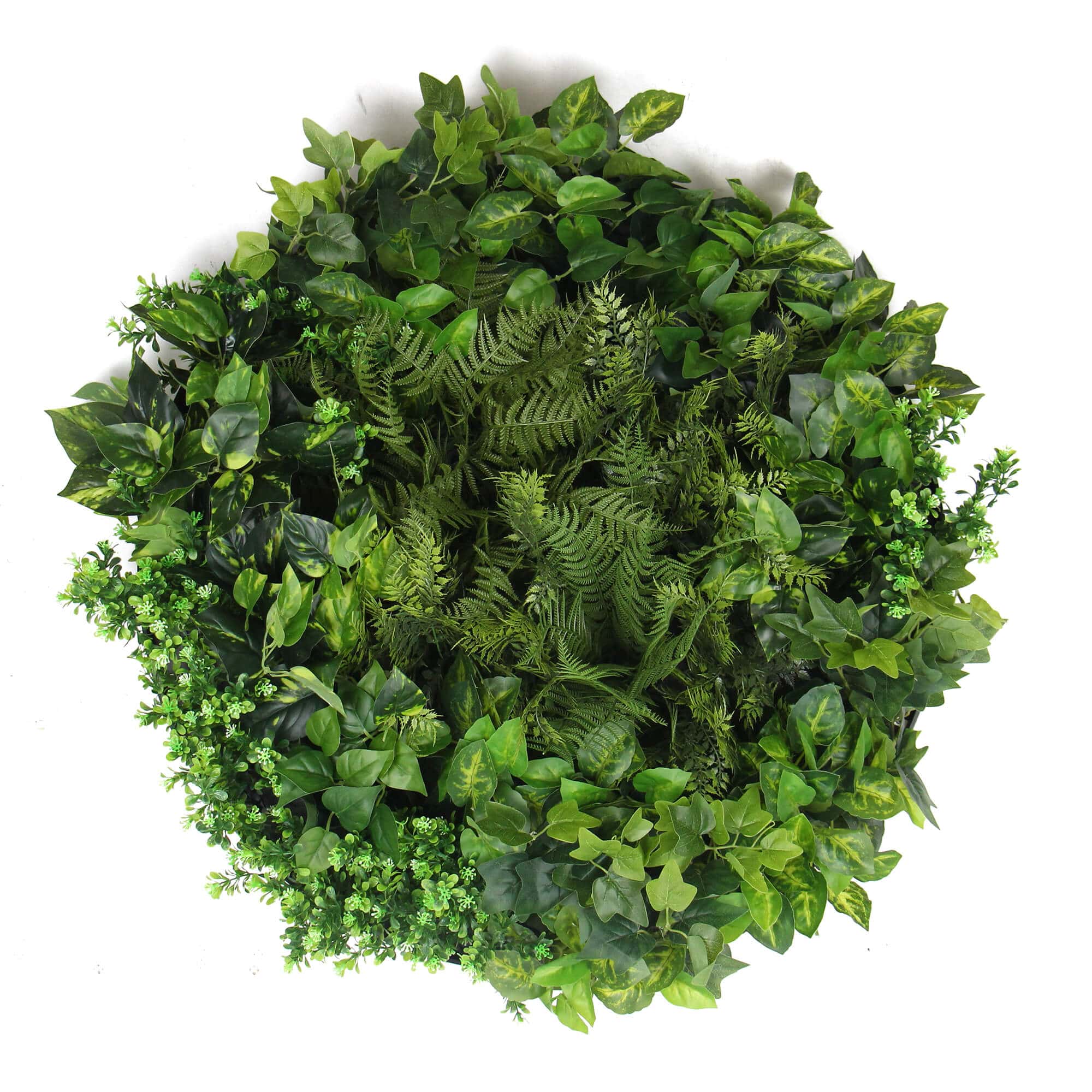 Slimline Artificial Green Wall Disc Art 80cm Mixed Green Fern & Ivy (Modern Black) - Designer Plants